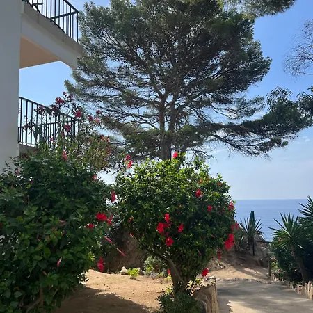 Appartement Les Terrasses De Cala Llevado 3