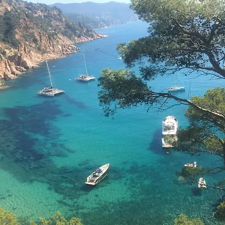 Les Terrasses De Cala Llevado 3